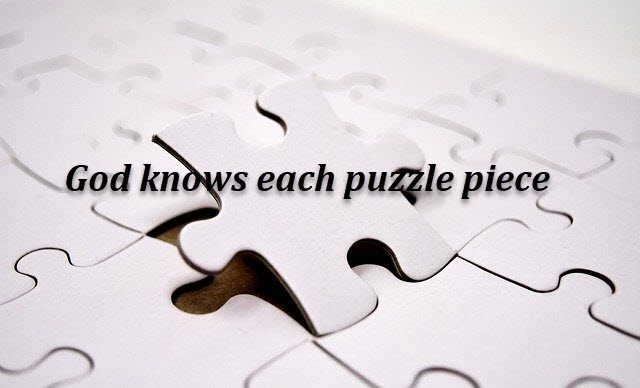 The puzzle of life