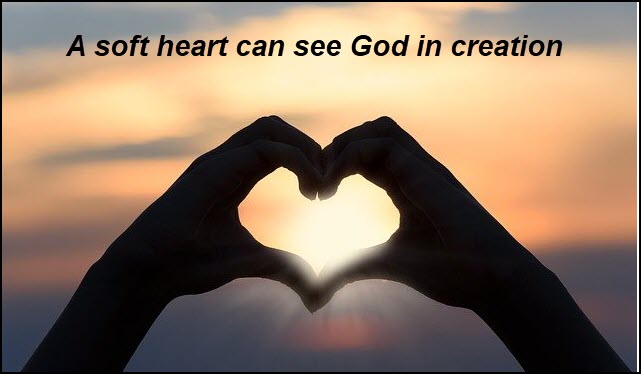 Soft hearts see God