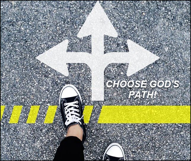 Which path are you on?