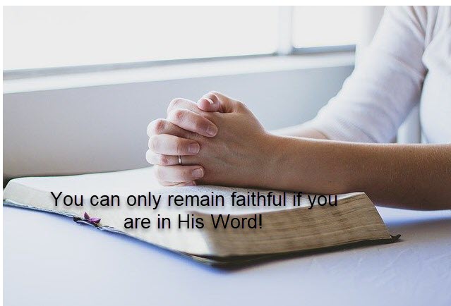 stay in the word