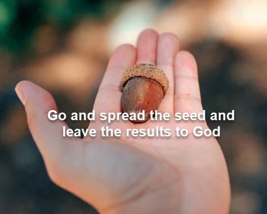 sow the seed