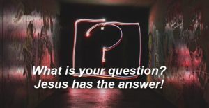 What is your question