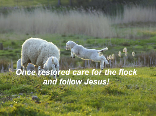 Tend the flock