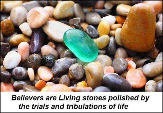 You are a living stone
