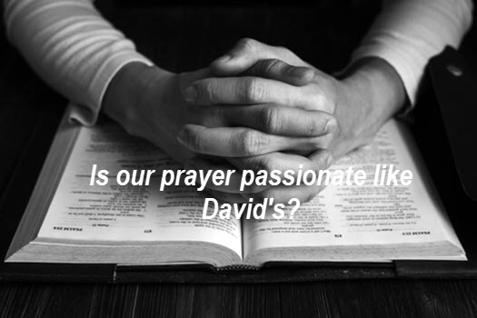David's passionate prayer