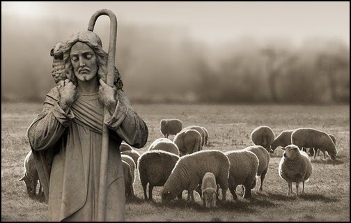 TheGood Shepherd
