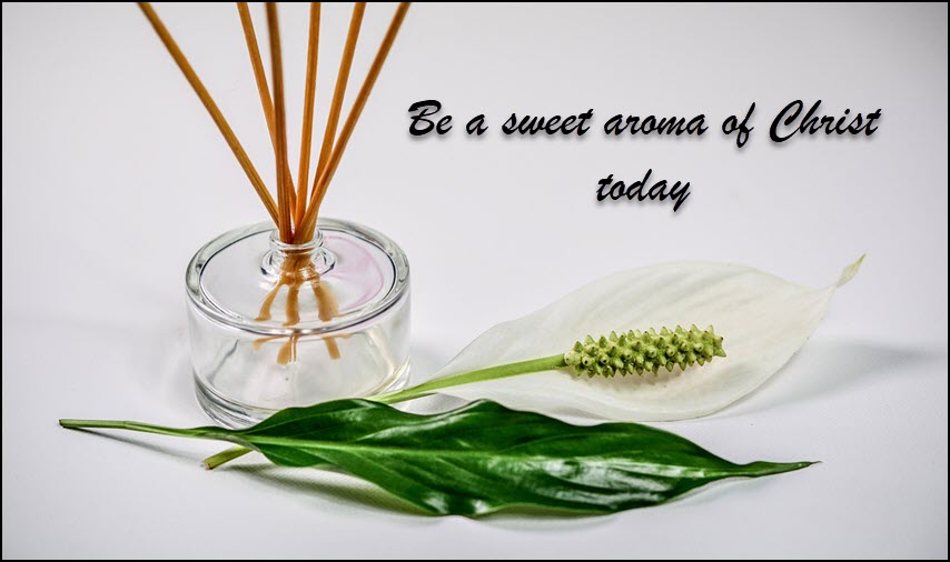 Be a sweet aroma today