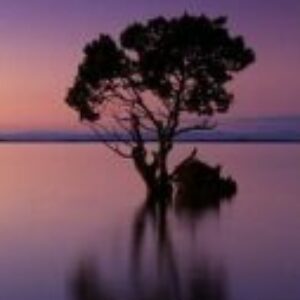 Group logo of Read Through the Bible 2026